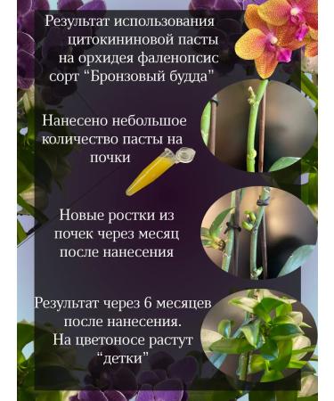 Orton Cytokinin paste for orchids and other plants 1.0ml*1UP - Buy Online on GoSupps.com