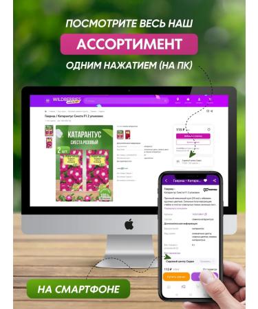 Grigoriev Ashvaganda Indian ginseng - Buy Online on GoSupps.com