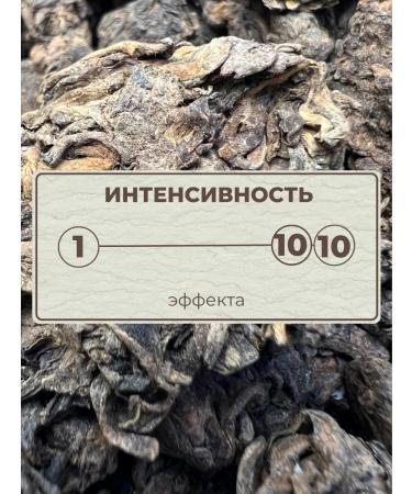 tea sommelier Tea Shu Puer Yun g Lao Cha Tou (tea heads) 50 g - Buy Online on GoSupps.com