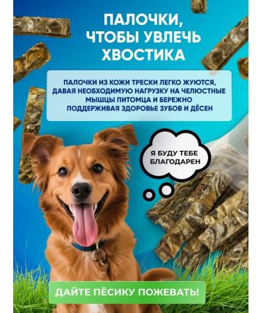 petfam Treat for dogs leather cod 100g sticks for training - Buy Online on GoSupps.com