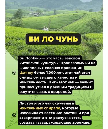 Give me some tea Green tea beat chun emerald spirals - Buy Online on GoSupps.com