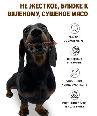 Canezeta Dried beef meat for dogs - Buy Online on GoSupps.com