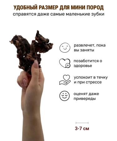 Canezeta Dried beef meat for dogs - Buy Online on GoSupps.com