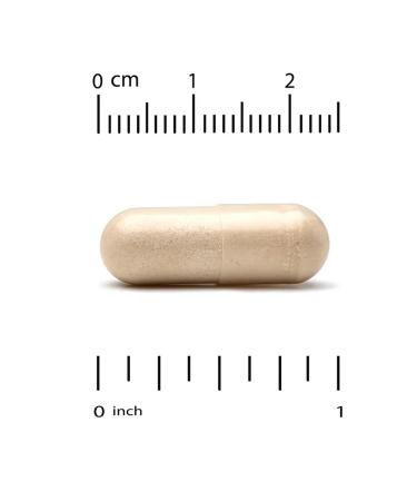 California Gold Nutrition mushrooms in US capsules - Buy Online on GoSupps.com