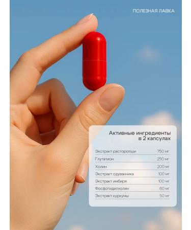 SWISS BORKNORDIC BORK Proopsha for the liver capsule T rkiye - Buy Online on GoSupps.com