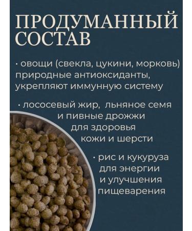 Pets Ministry Feed for medium breeds dry 10 kg - Buy Online on GoSupps.com