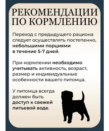 Pets Ministry Feed for medium breeds dry 10 kg - Buy Online on GoSupps.com