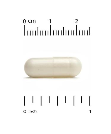 California Gold Nutrition L-THEANINE L Thein 200 mg. To calm down - Buy Online on GoSupps.com