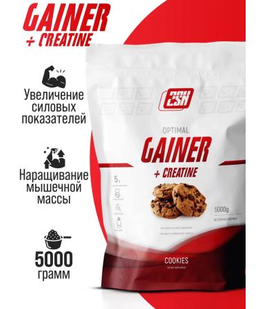 2SN Gainer Creatine for gaining mass Sports cookies 5 kg