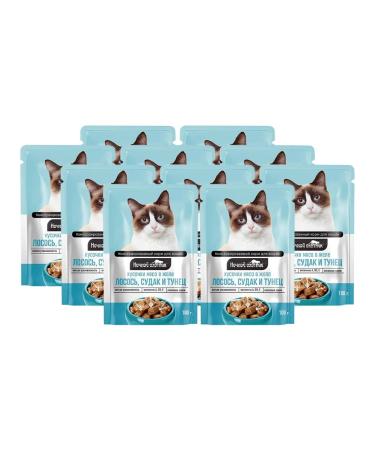 Night Hunter Wet feed for cats salmon pike perch tuna in jelly 100 g 10 pcs - Buy Online on GoSupps.com