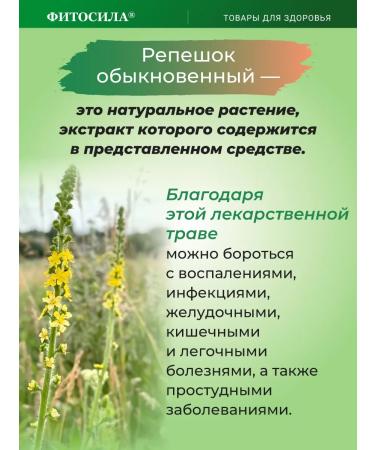 Phytosila Ground Background Ordinary Tea drink 50 g (box) - Buy Online on GoSupps.com