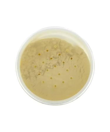 Essence Facial powder crumbly - Buy Online on GoSupps.com