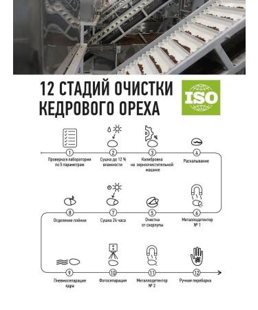 Siberian cedar Clotted pine nuts 300 g - Buy Online on GoSupps.com