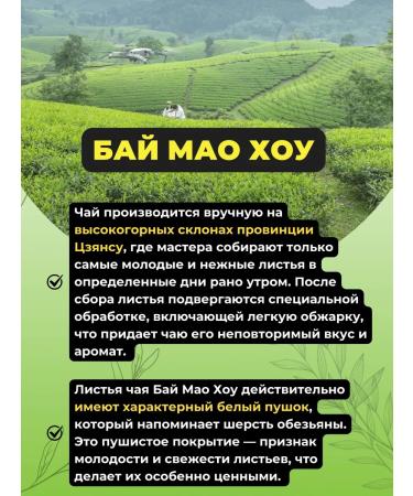 Give me some tea Tea green white -haired monkey cat.b - Buy Online on GoSupps.com