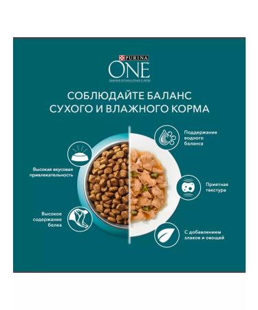 PURINA ONE for adult cats living at home - Buy Online on GoSupps.com