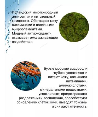 THE SAEM Moisturizing face cream Korea - Buy Online on GoSupps.com