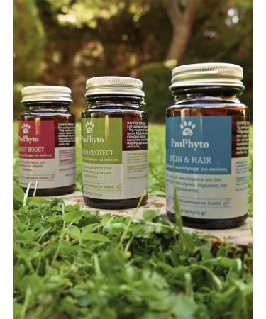 ProPhyto Shampoo for dogs and puppies hypoallergenic from a smell of 500 ml - Buy Online on GoSupps.com