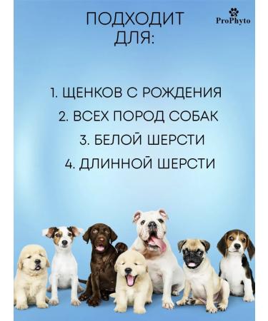 ProPhyto Shampoo for dogs and puppies hypoallergenic from a smell of 500 ml - Buy Online on GoSupps.com