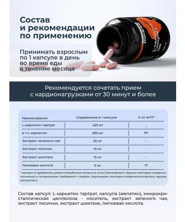 DOISSE Set L - Carnitin ZMA and BCAA - Buy Online on GoSupps.com