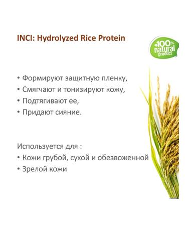Rice proteins hydrolyzed - 100 ml - Buy Online on GoSupps.com