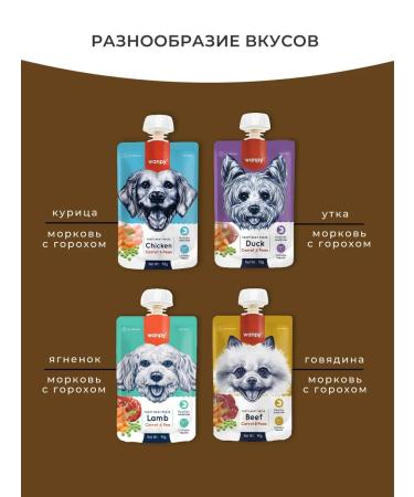 Wanpy Dog treat for dog mashed beef 90g x 10 pcs - Buy Online on GoSupps.com