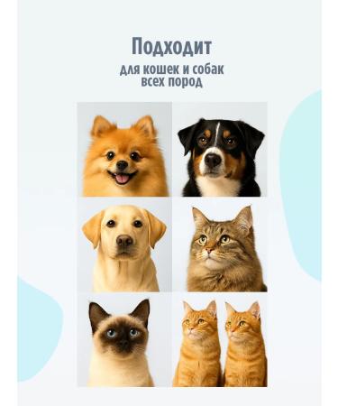 PYTHON Hypoallergenic shampoo air conditioning for animals - Buy Online on GoSupps.com