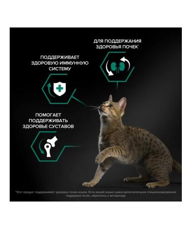 Purina Pro Plan Dry food for Renal Plus cats with a chicken 1.5 kg - Buy Online on GoSupps.com