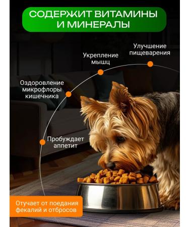 Running Turtle Beef shirt ground for dogs dried 80 gr. - Buy Online on GoSupps.com