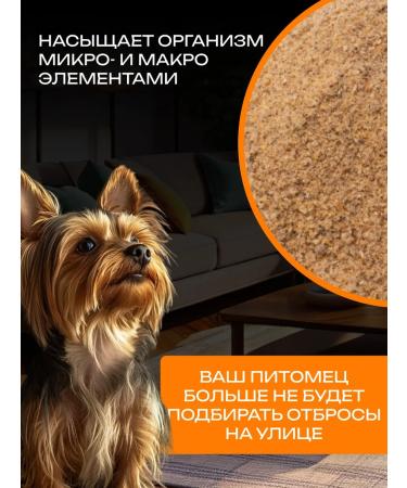 Running Turtle Beef shirt ground for dogs dried 80 gr. - Buy Online on GoSupps.com