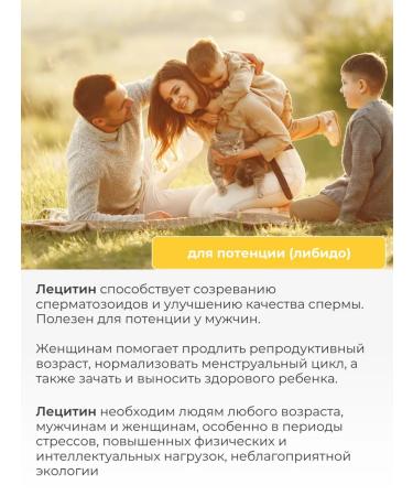 Main ingredient Sunflower lecithin 100g - Buy Online on GoSupps.com