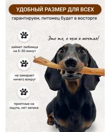 Canezeta Beef aorta for dogs - Buy Online on GoSupps.com