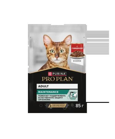 PRO PLAN Wet food for adult cats beef in sauce 26x85 grams - Buy Online on GoSupps.com