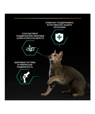 PRO PLAN Wet food for adult cats beef in sauce 26x85 grams - Buy Online on GoSupps.com