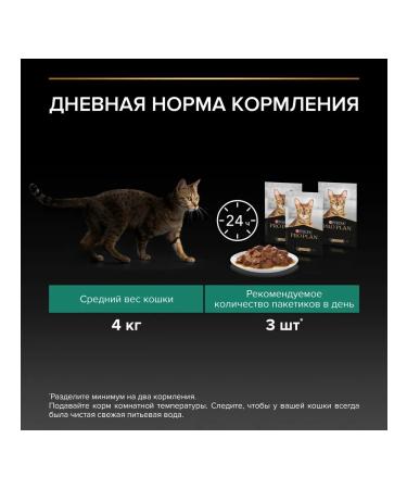 PRO PLAN Wet food for adult cats beef in sauce 26x85 grams - Buy Online on GoSupps.com