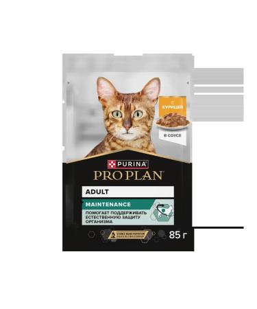 PRO PLAN Wet food for adult cats chicken in sauce 26x85 gr - Buy Online on GoSupps.com