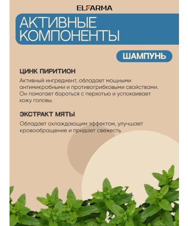 ELFARMA Set of shampoo and balm from dandruff from zinc pyricon - Buy Online on GoSupps.com