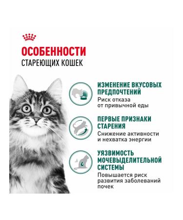 ROYAL CANIN Wet food for elderly cats over 7 years old - 85 g x 28 pcs - Buy Online on GoSupps.com