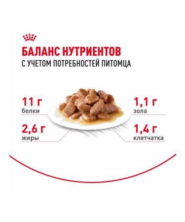 ROYAL CANIN Wet food for elderly cats over 7 years old - 85 g x 28 pcs - Buy Online on GoSupps.com