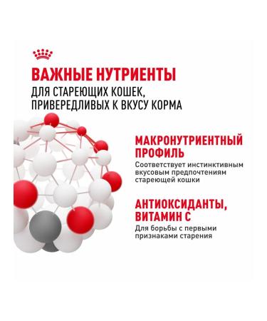 ROYAL CANIN Wet food for elderly cats over 7 years old - 85 g x 28 pcs - Buy Online on GoSupps.com