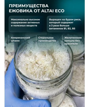 Altai ECO Ezhovik crested mycelium + cordyceps 180 capsules of 500 mg - Buy Online on GoSupps.com