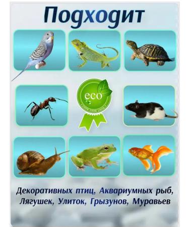 Farmyard Gammarus fish food and red -eared turtles - Buy Online on GoSupps.com