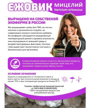 CHAGA FOOD Ezhovik Combed blackberry Micelle Ground powder 100 g - Buy Online on GoSupps.com