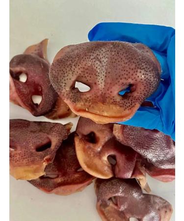 Pet Dog Izh Pork peppy pork dog treats 1000g - Buy Online on GoSupps.com