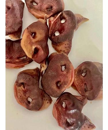 Pet Dog Izh Pork peppy pork dog treats 1000g - Buy Online on GoSupps.com