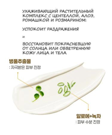 WELCOS Cream Sunwallow Korea 90 gr - Buy Online on GoSupps.com