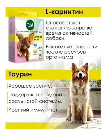 Triol Vitamins for dogs from obesity - Buy Online on GoSupps.com
