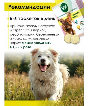 Triol Vitamins for dogs from obesity - Buy Online on GoSupps.com