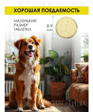 Triol Vitamins for dogs from obesity - Buy Online on GoSupps.com