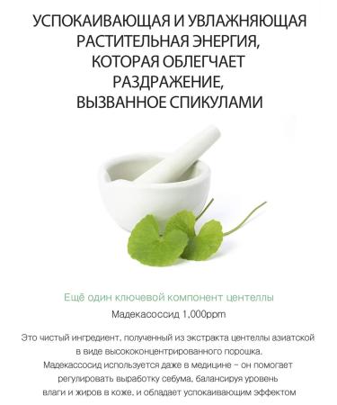 DERMA FACTORY Cica Spicule 8000PPM Cica Spicule - Buy Online on GoSupps.com