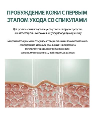 DERMA FACTORY Cica Spicule 8000PPM Cica Spicule - Buy Online on GoSupps.com